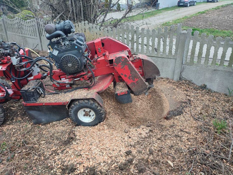 FREZOWANIE PNI DRZEW / KORZENI - Usuwanie Pni, Karp - Frezarka Do Pni