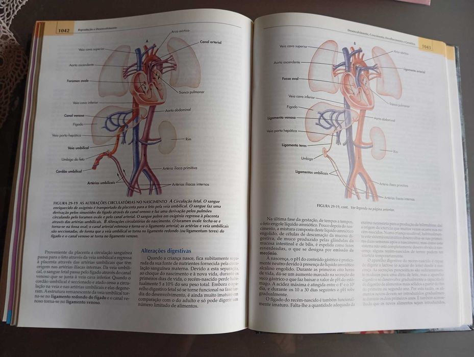 Livro de Anatomia e Fisiologia Seeley 1ª edição