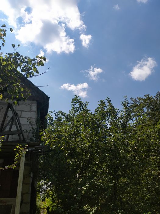 Продам дачу в Глевахе