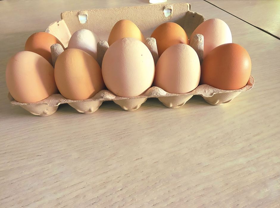Jaja kurze z wolnego wybiegu naturalne ekologiczne jajka