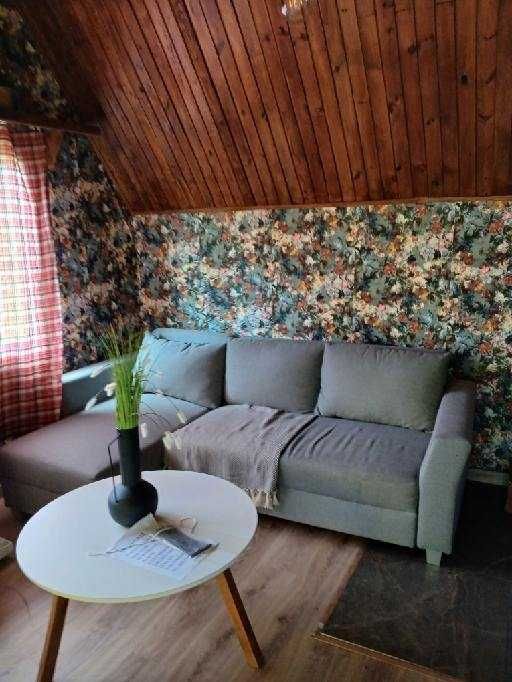 działka ROD ,,Relax,, 430 m² z altaną po remoncie - Widok 4