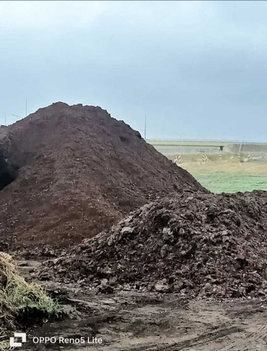 Podloze z pieczarek przelasowane