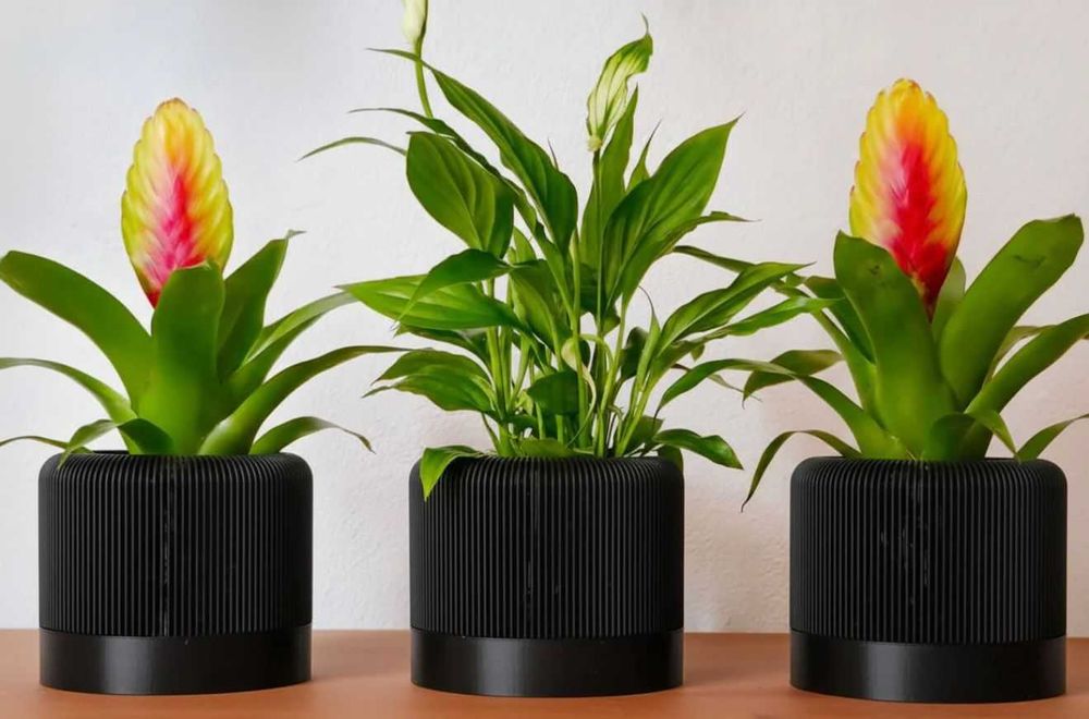 Vaso decorativo com prato removível