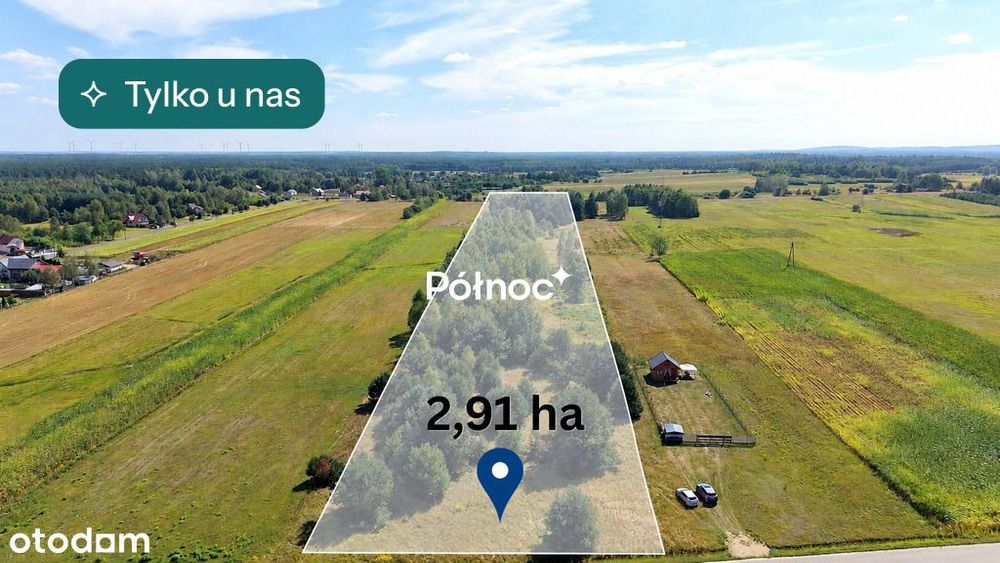 Działka rolna 2,91 ha na Jurze | Żuraw gm. Janów