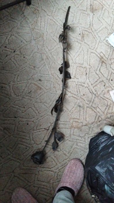 Кована троянда (декор)