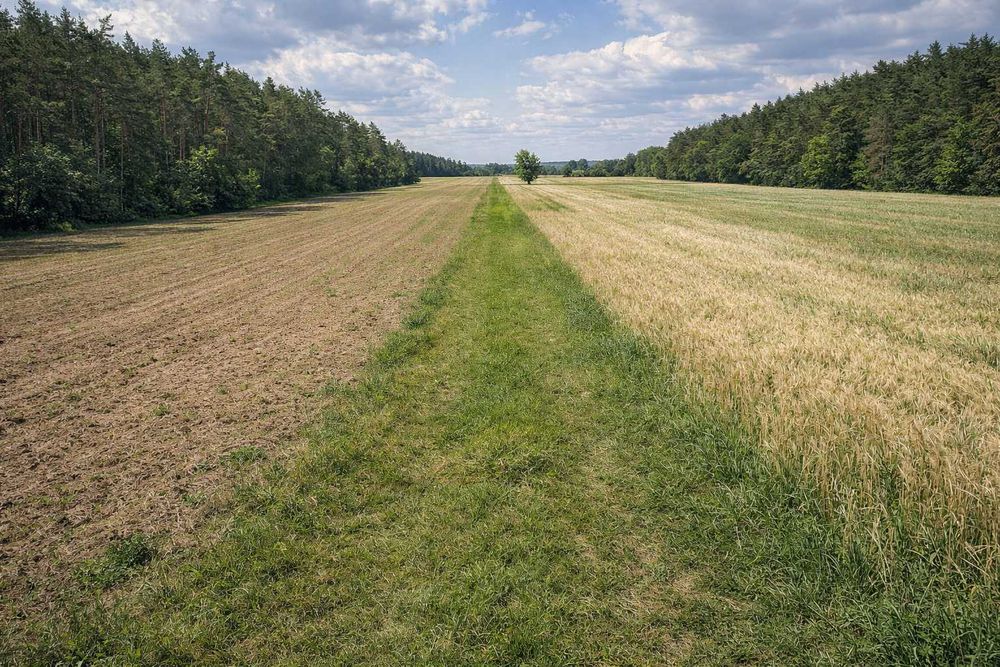 Działka siedliskowa Suntago Wycześniak Żyrardów Mszczonów