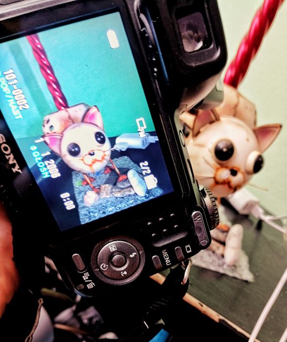 Sony cybershot DSC-H5