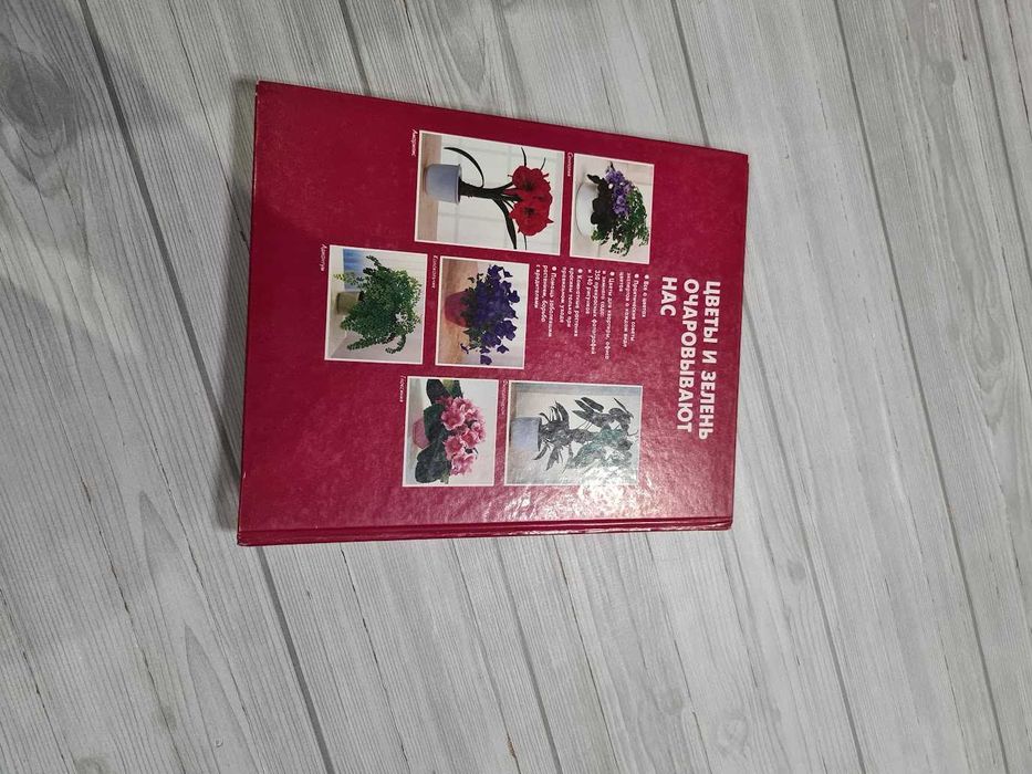 Книга У світі квітів Халіна Хейтц