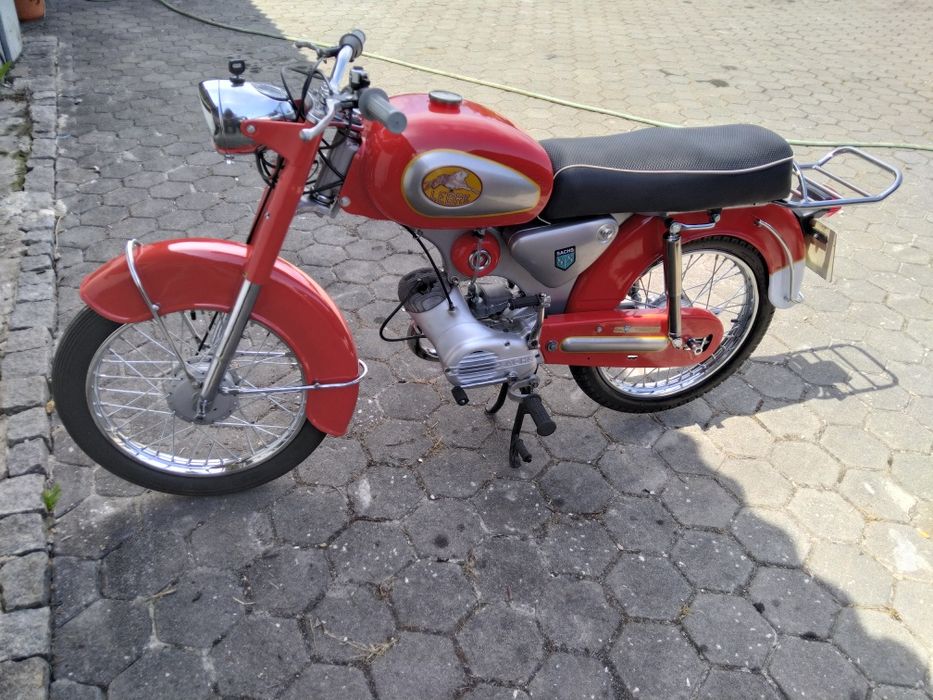 Sachs lebre 1972