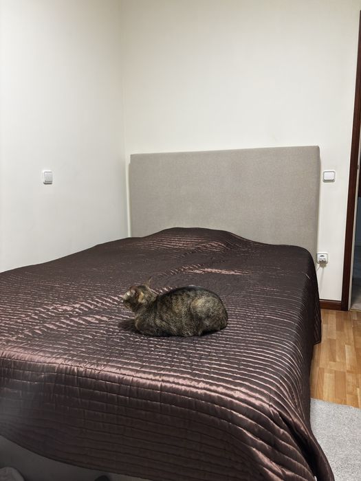 Cama Corpo e Meio