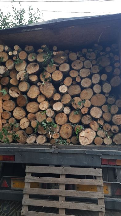 ДРОВА твёрдых пород