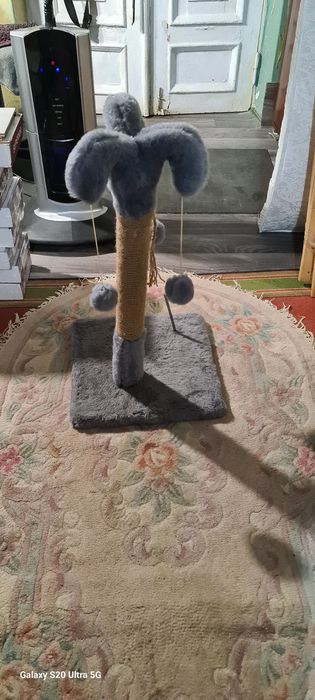 Когти точка для котів