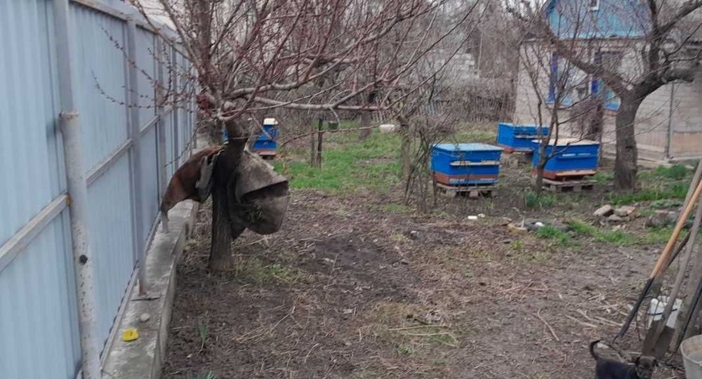Оренда будинку  на Леваневського