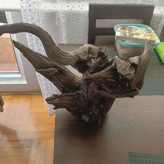 Korzeń do akwarium/terrarium
