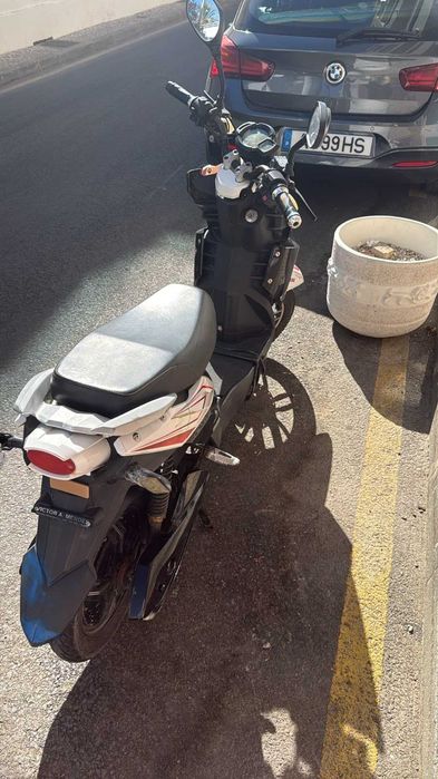 MOTINHA sem carta