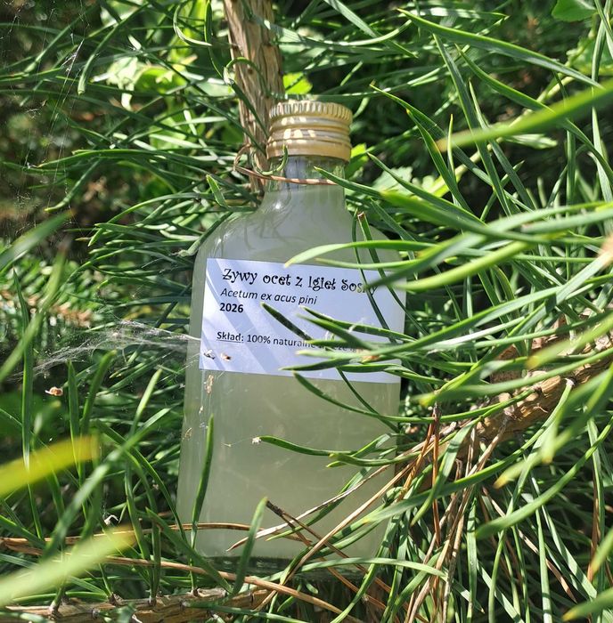 Żywy ocet z Igieł Sosny 200 ml