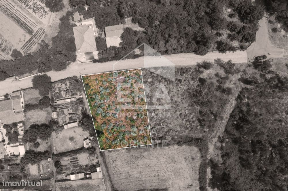 Plot for Construction in Olival