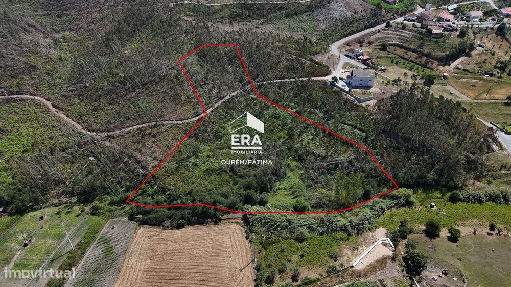 Terreno Florestal em Matas, Ourém