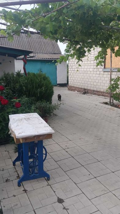 Продам будинок. В аренду не здається.