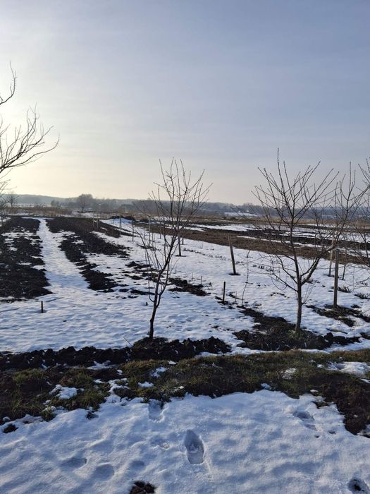 Продаж земельної ділянки під забудову м.Почаїв