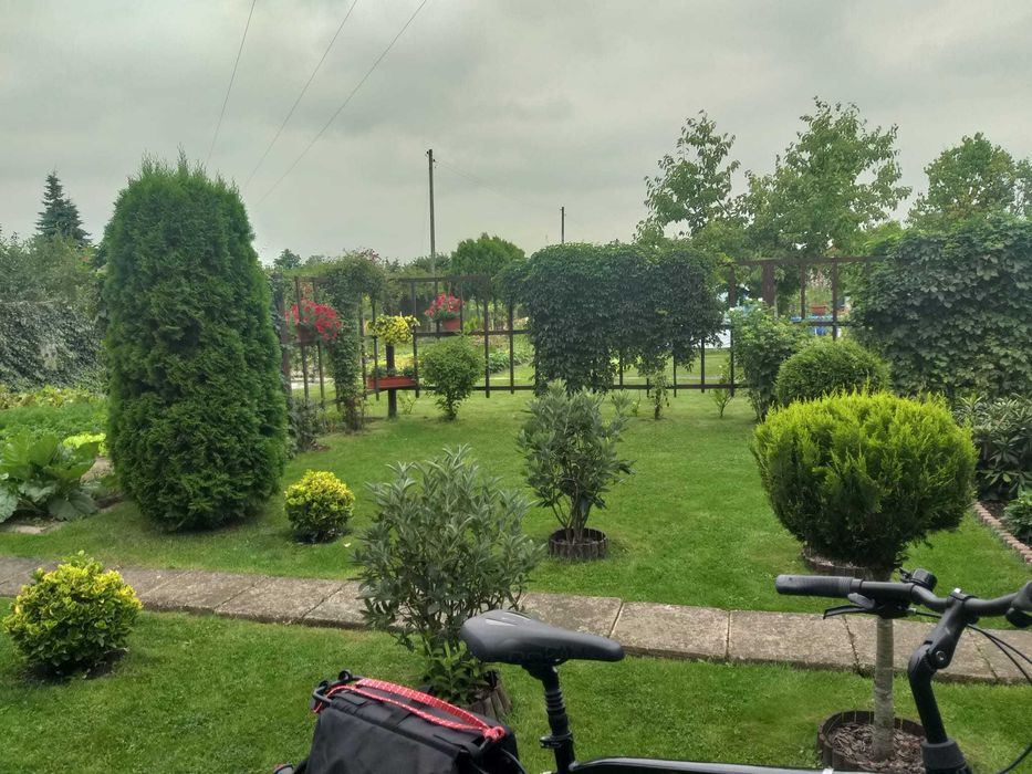 Działka rekreacyjna ROD Polna 2 (Kluczbork) - 312 m²