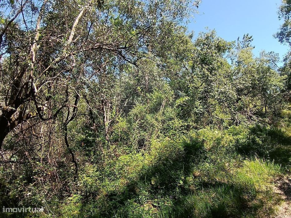 Terreno  para venda