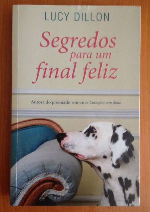 Segredos para um final feliz - Lucy Dillon