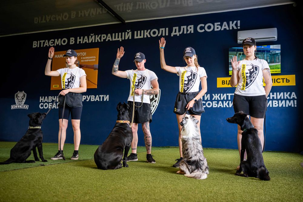 Школа дресирування навчання собак Троєщина Дарниця Лісовий масив