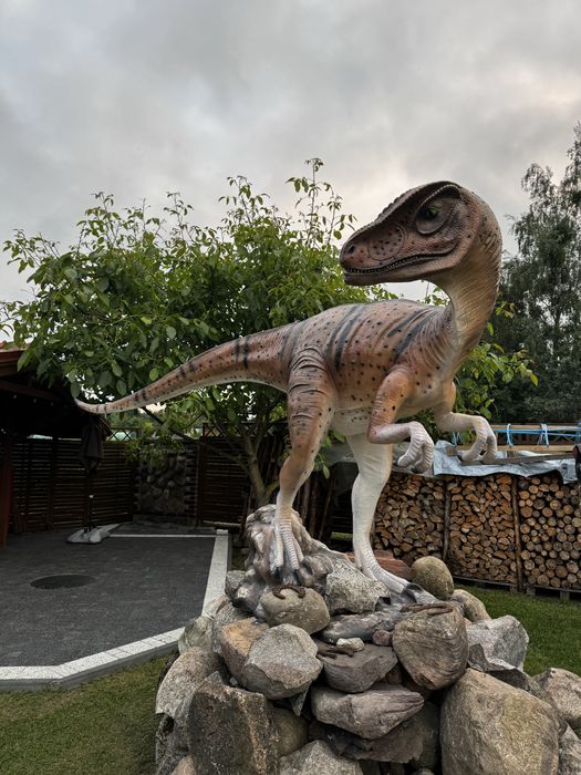 Wynajmę domek letniskowy w pięknym i cichym miejscu na Mazurach Tężnia