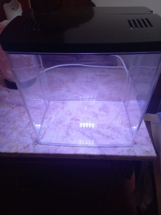 Aquario com tampa e 5 modos de luz