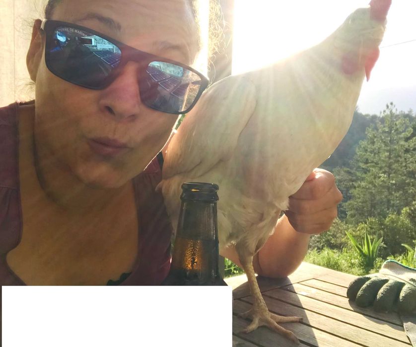 Petsitter na Bendada