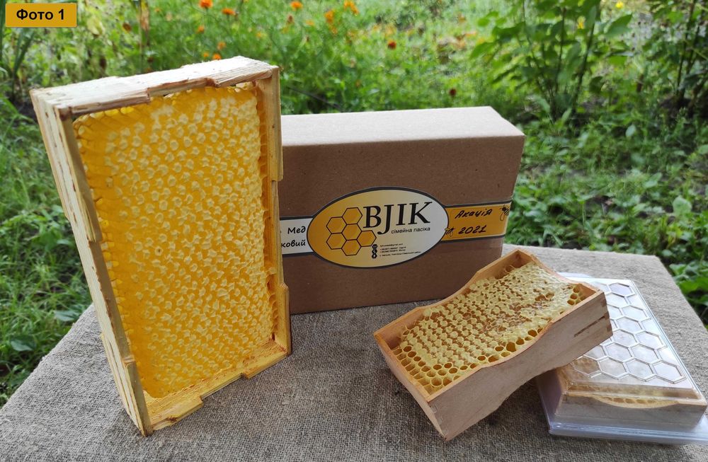 Мед в сотах / Сотовый мед / Стільниковий мед 2025