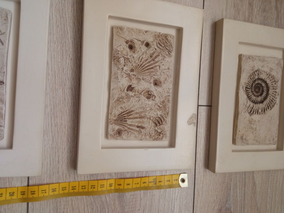 Komplet obrazków z kolekcji