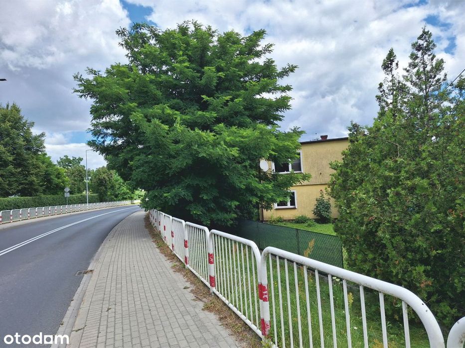 Wolnostojący dom z piwnicą w spokojnej wsi