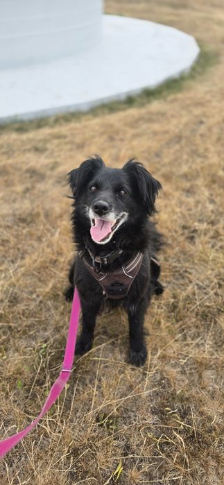 Kochana sunia do adopcji