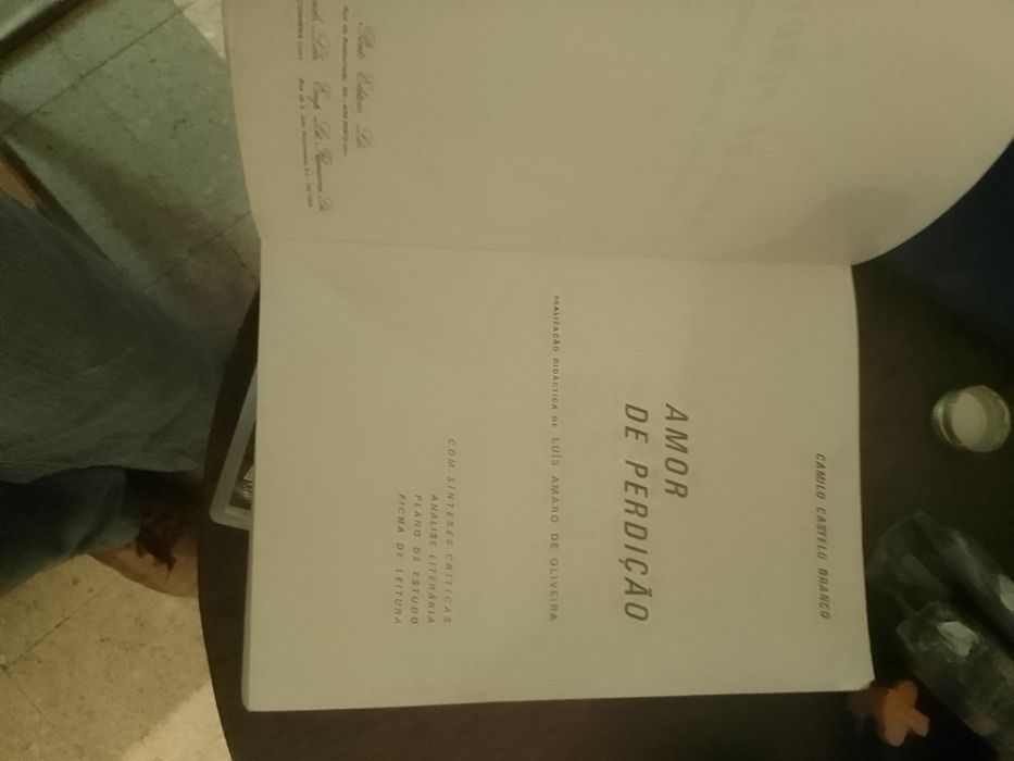 Amor de Perdição/ Memórias de uma familia- Camilo Castelo Branco