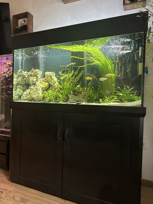 Akwarium zestaw 130x50x70