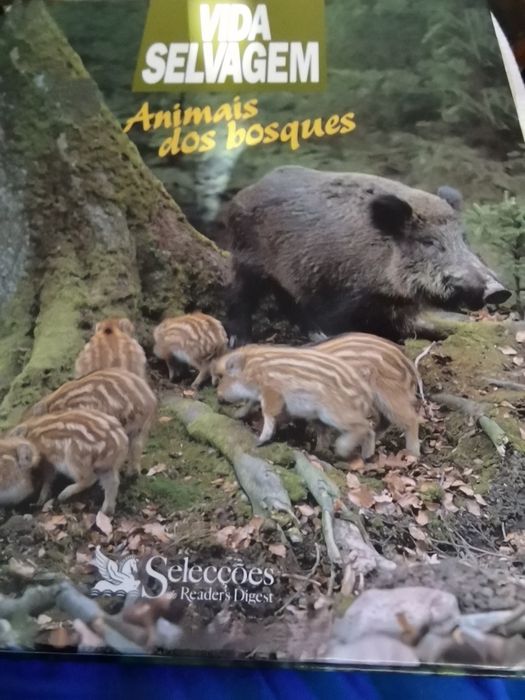 Vida Selvagem : Animais dos litorais e ilhas, Animais dos bosques...
