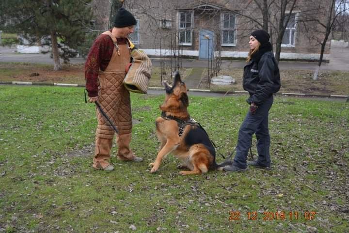 Инструктор-Кинолог