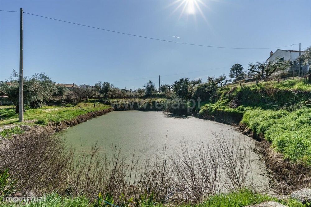 Terreno / Fundão, Martianas