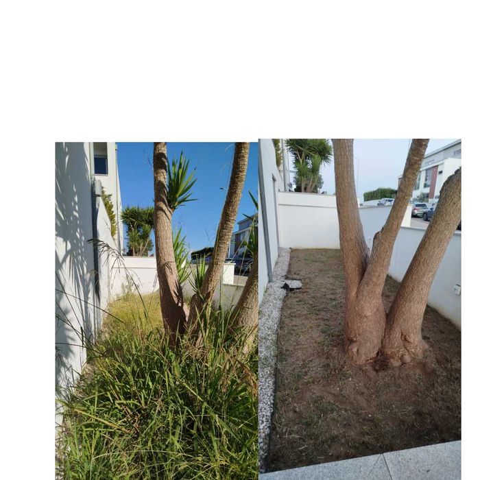 Limpeza de terrenos