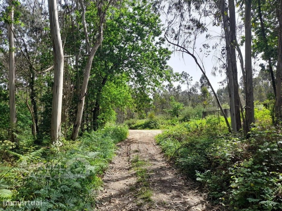 Terreno em Vila Chã - Esposende — Vila Chã, Braga