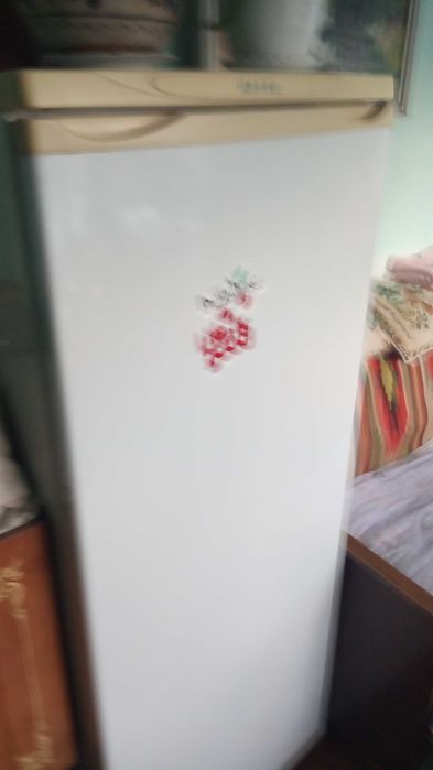 Холодильник Днепр