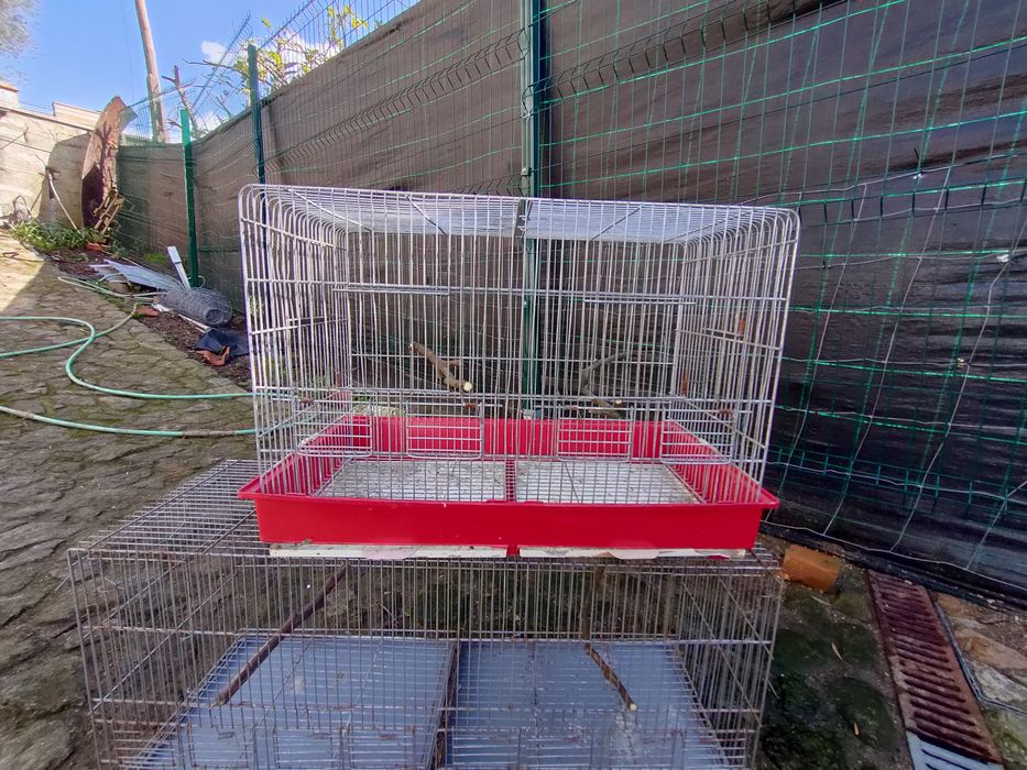 Gaiolas para Canários / Aves – Conjunto ou Individual
​Individual (1 u