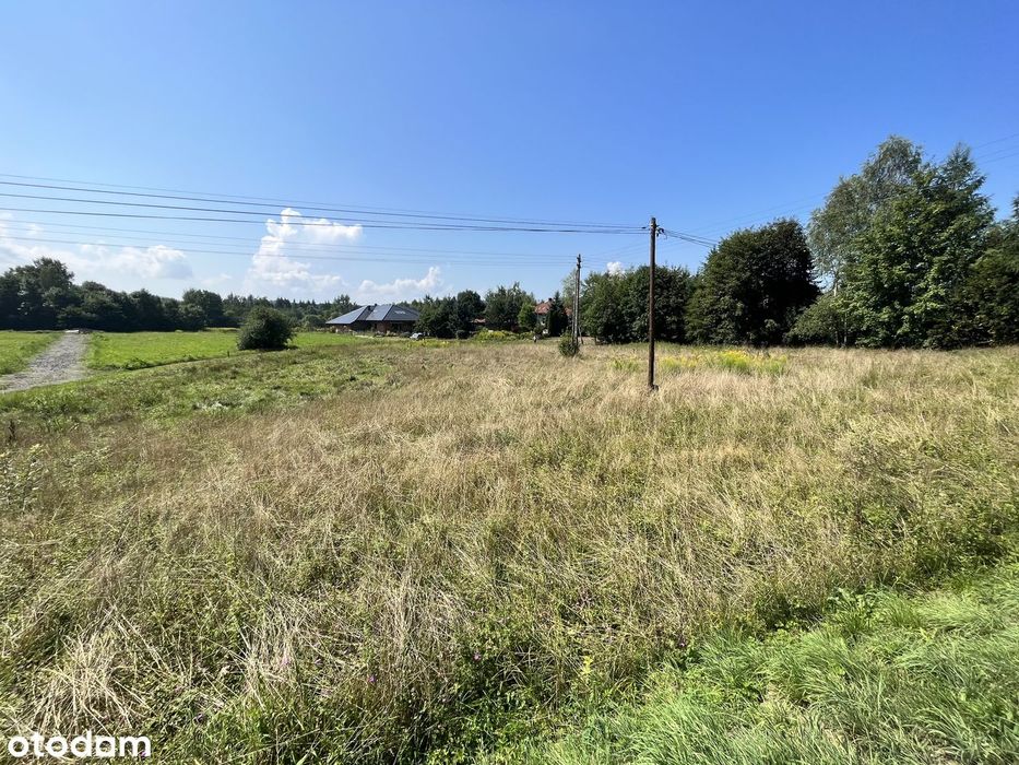 Radziszów, Podlesie | działka 817 m² | wjazd prosto z asfaltu - Widok 2