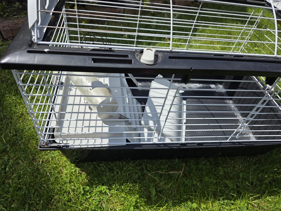 Klatka dla świnek morskich