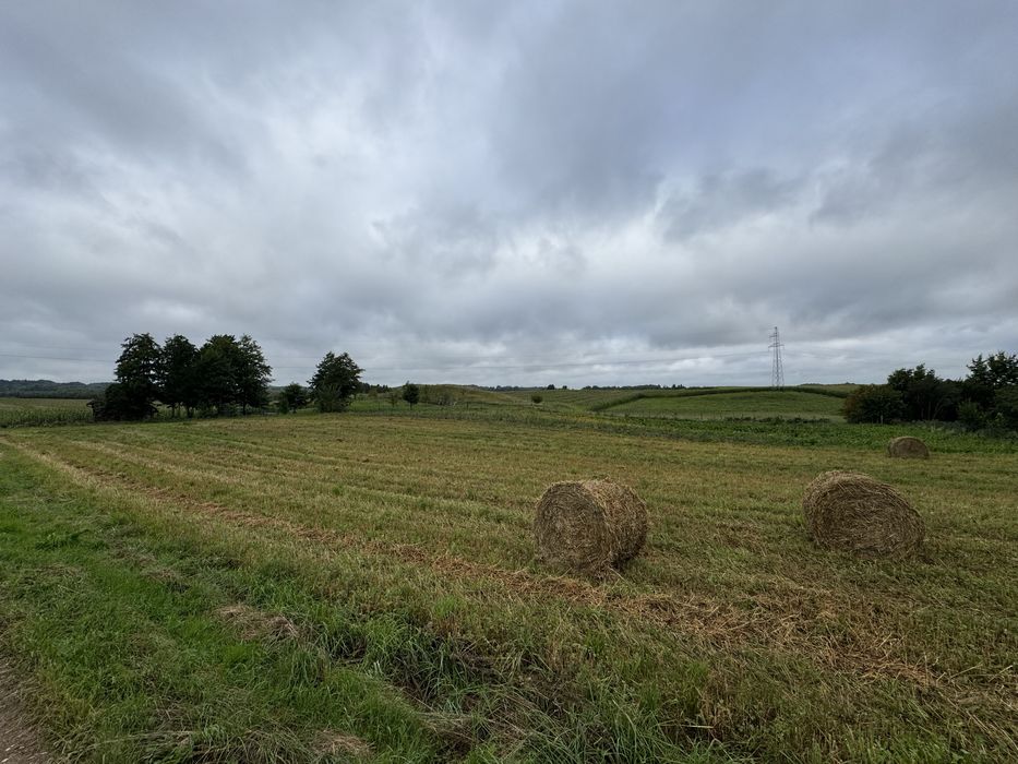 Działka 5130 m² z WZ – Kłębowo, 6 km od Lidzbarka