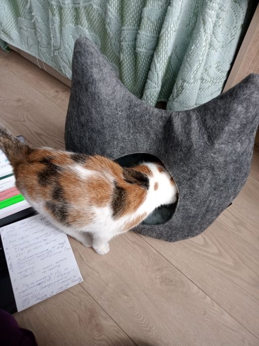 Будиночок для котика, кішечки чи маленької собачки