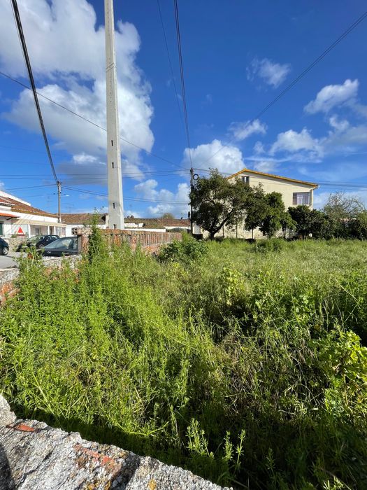 Vendo Terreno em Abrantes