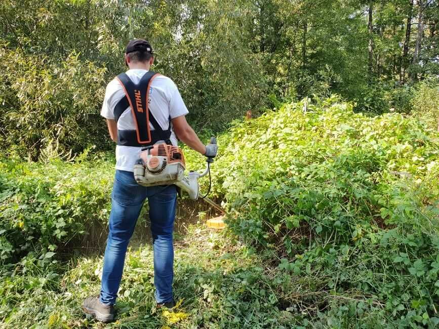 pielęgnacja zieleni